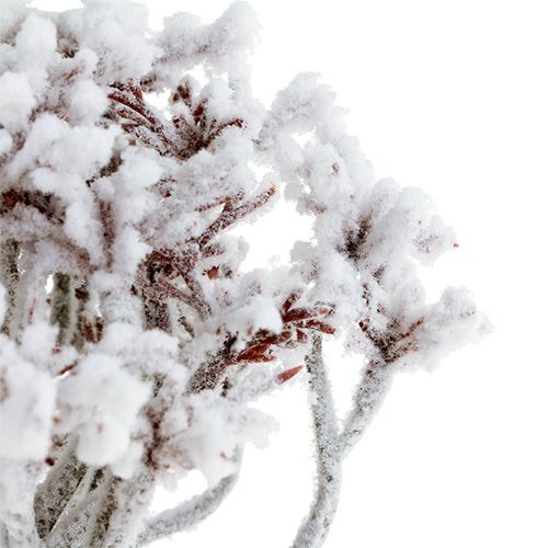 Floristik24 Ramo con neve 22 cm 3 pezzi
