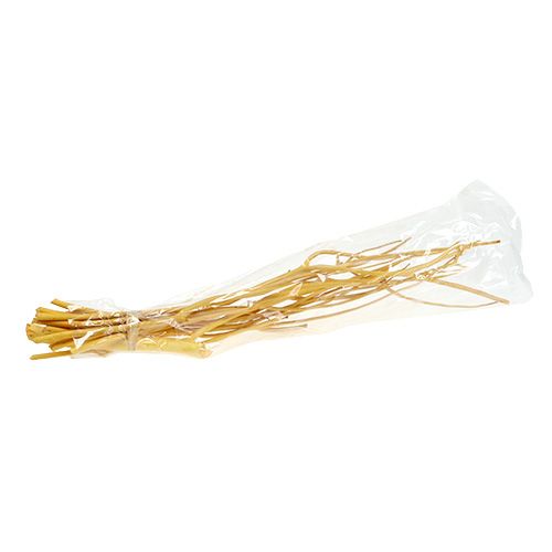 Floristik24 Rami decorativi Mitsumata giallo 45-60 cm 12 pz