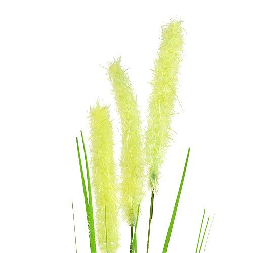 Floristik24 Cipolla erba 68 cm verde 6 pezzi