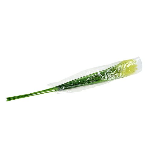 Floristik24 Cipolla erba 68 cm verde 6 pezzi