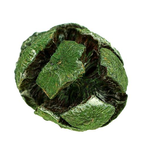 Floristik24 Pigne di cipresso 3 cm verdi 500 g