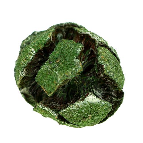 Floristik24 Coni di cipresso 3 cm verde 500 g