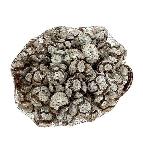 Prodotto Coni di cipresso 3 cm lavati bianchi 500 g