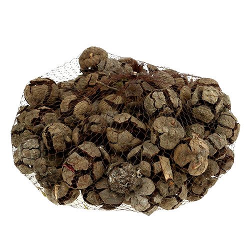 Prodotto Coni di cipresso natura 3cm 500g