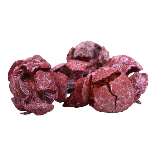 Prodotto Pigne di cipresso decoro naturale satinato 3 cm rosso scuro 500 g