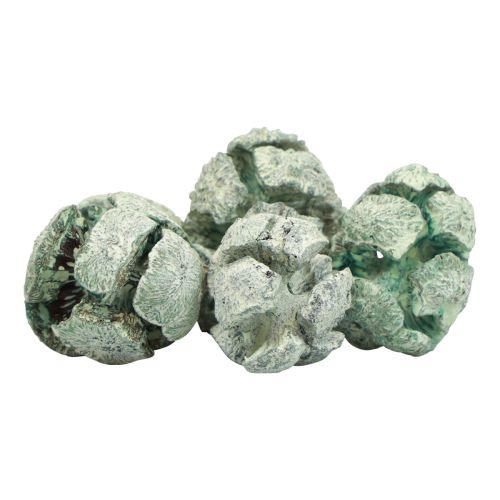 Prodotto Pigne di cipresso decoro naturale satinato 3 cm verde 500 g