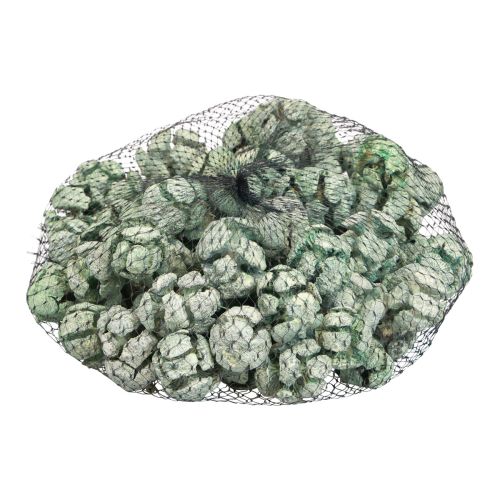 Prodotto Pigne di cipresso decoro naturale satinato 3 cm verde 500 g