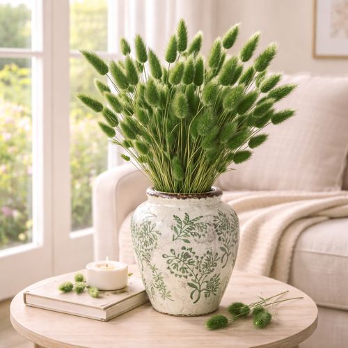 Prodotto Lagurus essiccato (Erba coda di lepre) 65-70 cm 100 g