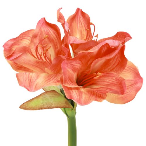 Prodotto Fiori decorativi Amaryllis in artificiale arancione L55cm 2 pezzi