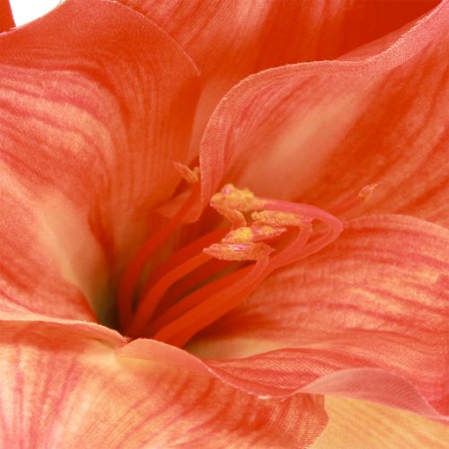 Prodotto Fiori decorativi Amaryllis in artificiale arancione L55cm 2 pezzi