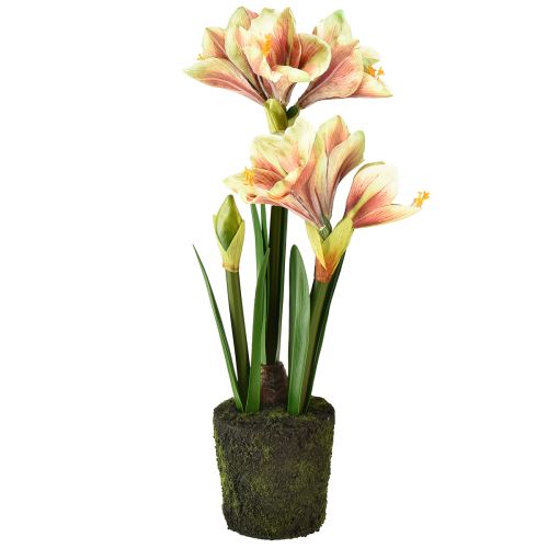 Prodotto Amaryllis artificiale in una palla di muschio con fiori a motivi rosa-gialli - 45 cm - Decorazione esotica ed elegante