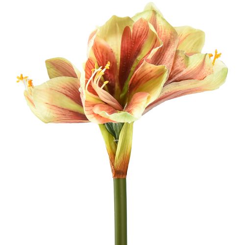 Floristik24 Fiore di amaryllis artificiale in rosa e giallo - 66 cm - idea regalo ideale e decorazione elegante per interni