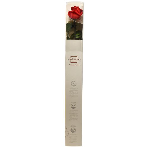 Prodotto Rosa infinita con foglie stabilizzate Amorosa Rossa L54cm