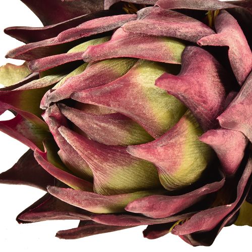 Prodotto Carciofo Artificiale Grande Fiore Artificiale Aspetto Secco Viola 76 cm