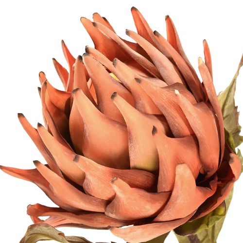 Prodotto Fiore artificiale di carciofo autunno arancione aspetto secco Ø15cm 73cm