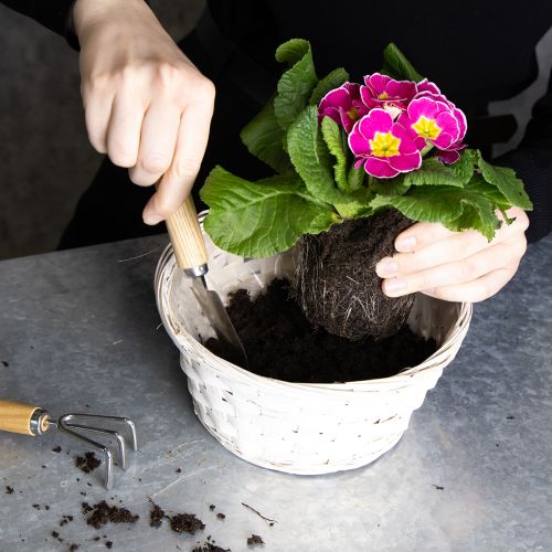 Prodotto Decorazione in vimini per un versatile design d'interni, 20 cm, 8 pezzi