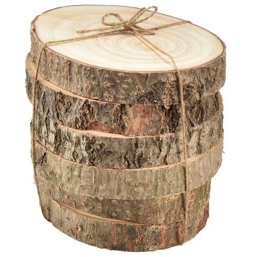Prodotto Disco dell'albero Albero di campanula Paulownia naturale Ø12-14 cm 6 pz