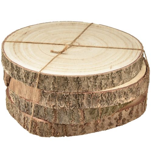 Floristik24 Disco per albero Decorazione in legno di Paulownia naturale Ø17-21 cm 4 pz
