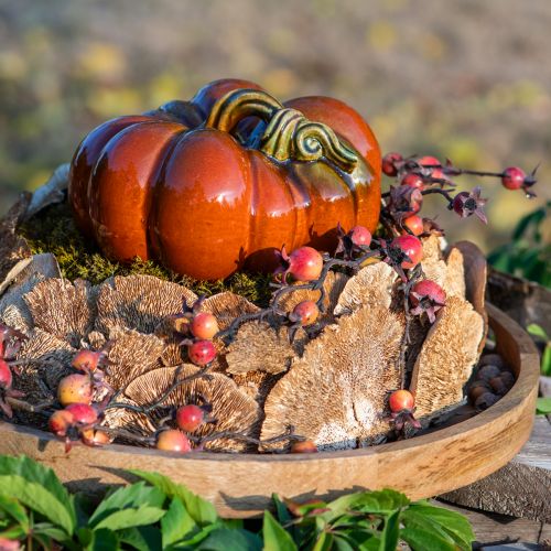 Floristik24 Funghi decorativi naturali in spugna per albero secchi 6 cm 1 kg