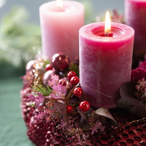 Floristik24 Ramo di bacca decorazione artificiale di rami di bacche rosse L50cm 2 pezzi