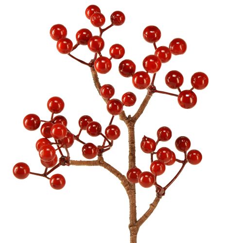 Floristik24 Rami di bacche rosse brillanti – Ideali per decorazioni festive, 30 cm – Set di 6