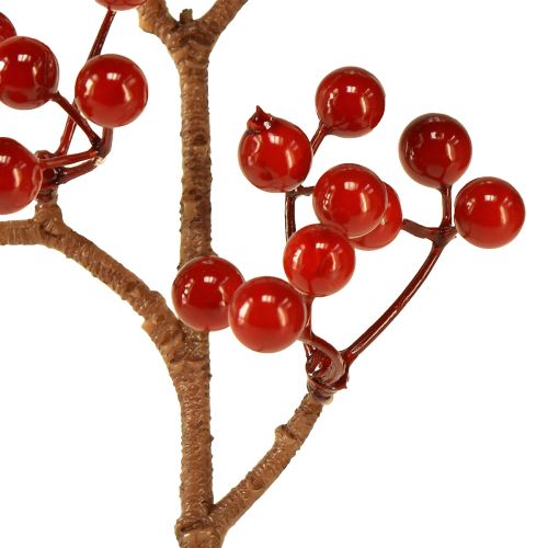 Floristik24 Rami di bacche rosse brillanti – Ideali per decorazioni festive, 30 cm – Set di 6
