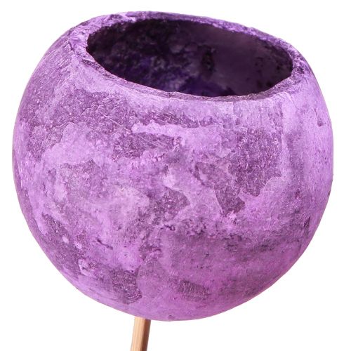 Floristik24 Coppa a campana su bastone Decorazione esotica a secco Bacca viola 44 cm 15 pz