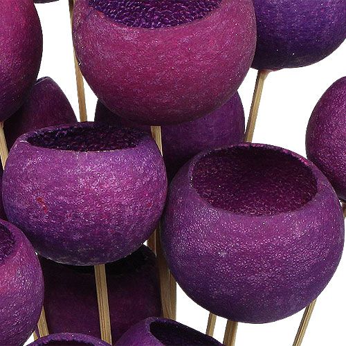 Floristik24 Bell Cup Mix su stecco Erika 15 pz