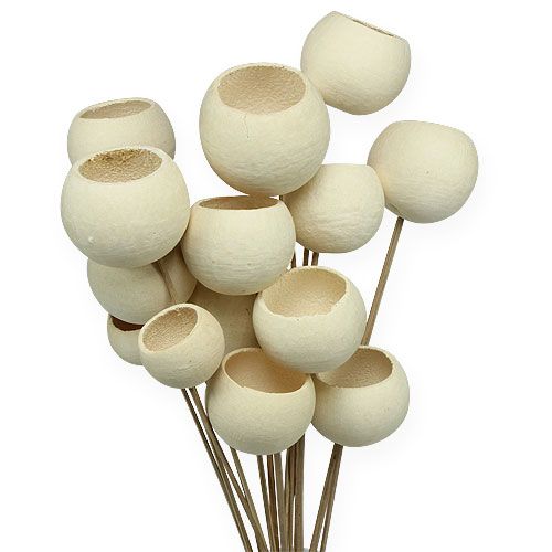 Bell Cup Mix su stecco sbiancato 15 pz