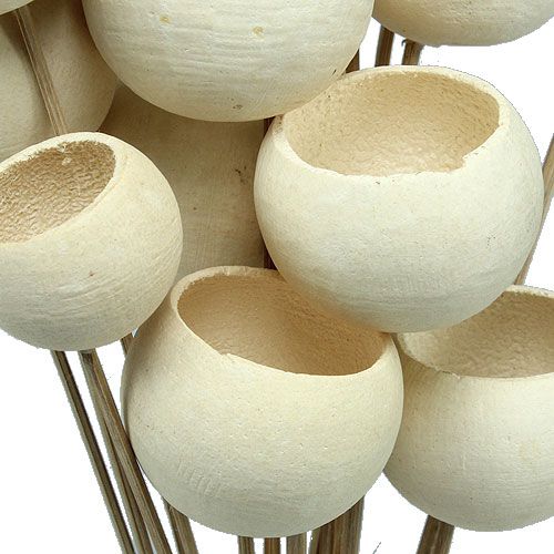 Floristik24 Bell Cup Mix su stecco sbiancato 15 pz