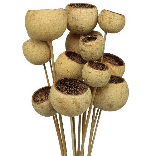 Prodotto Bell Cup Mix su stecco Natural Exotics 15 pz