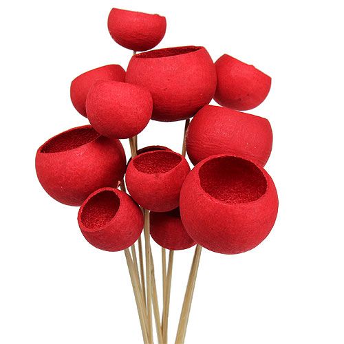 Floristik24 Bell Cup su stecco Mix Rosso 15 pz