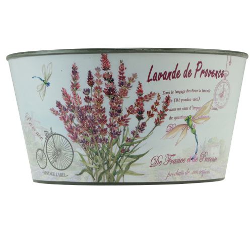 Prodotto Fioriera in plastica color lavanda rotonda Ø21cm H11cm
