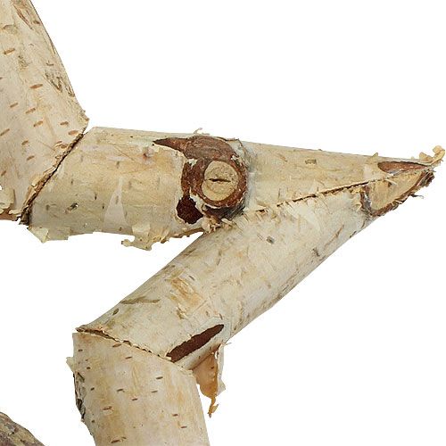 Floristik24 Stella di betulla per appendere 22 cm