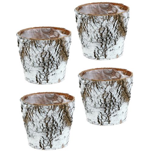 Prodotto Vaso in betulla vaso medio betulla bianco Ø12cm H10.5cm 4 pz