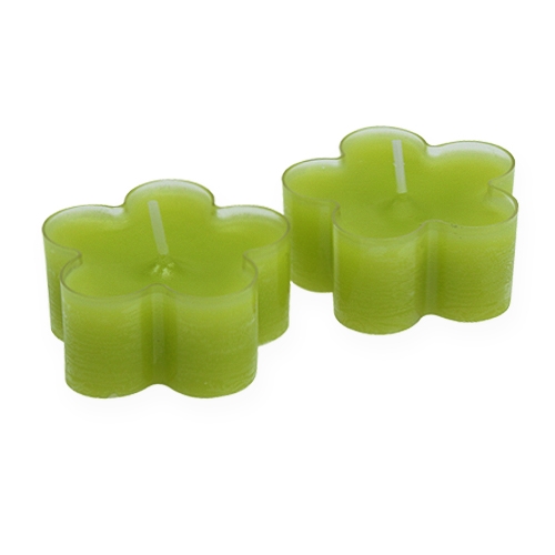Floristik24 Tealight a forma di fiore verde Ø5cm 12 pezzi