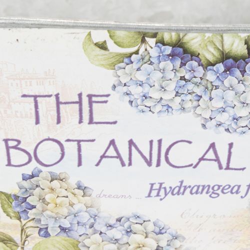 Prodotto Vaso ovale in metallo con manici, per ortensie, 32×15×15 cm