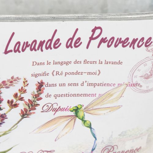 Prodotto Vaso ovale in metallo con manici, colore lavanda, 32×15×15 cm