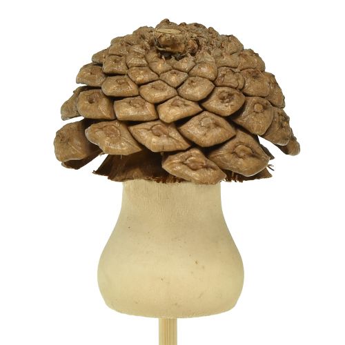 Prodotto Spina decorativa cono fungo spina fiore Avvento 4,5 cm 12 pz