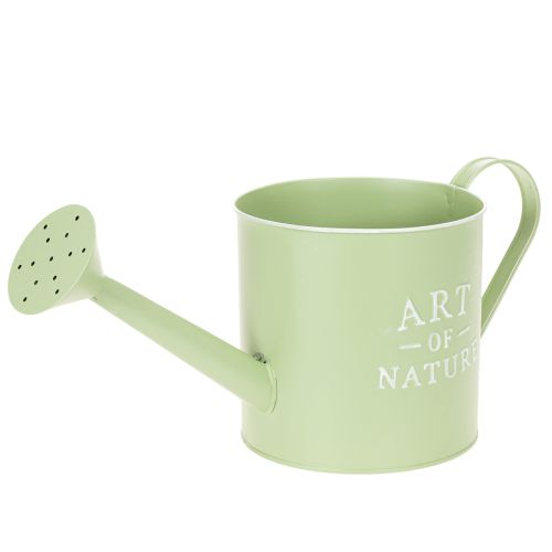 Vaso da fiori, annaffiatoio decorativo, fioriera in zinco verde menta, Ø16,5 cm acquistare | Floristik24.it