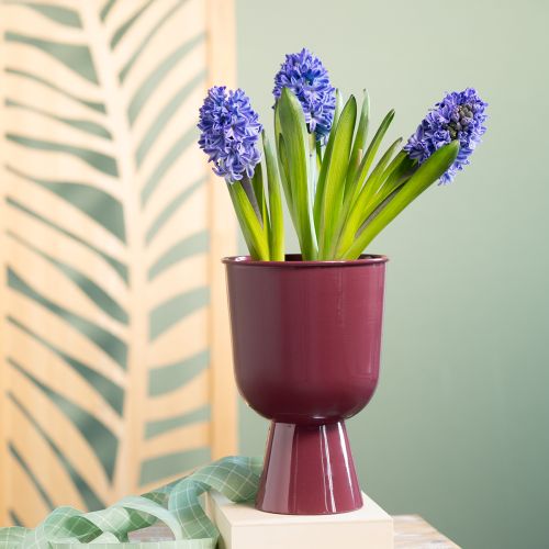 Prodotto Vaso da fiori a forma di coppa, stile moderno, decorativo per qualsiasi casa e ufficio, 23 cm