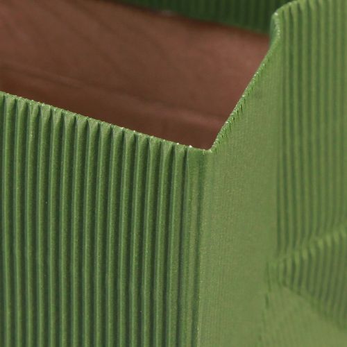 Prodotto Busta per fiori verde verde oliva a coste con pellicola 10,5 cm 6 pz