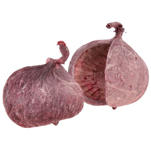 Prodotto Decorazione Noce Di Buddha Rosso Bianco Naturale Essiccato Ø5,5–9,5cm 5 pz
