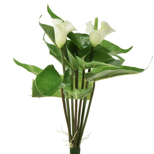 Floristik24 Calla Lily Kalla Fiori artificiali Fiori esotici bianchi 34 cm
