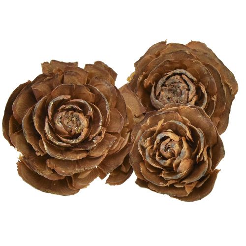 Floristik24 Coni di cedro tagliati a rosa di cedro rosa 4-6 cm naturali 50 pz