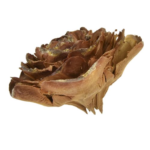 Floristik24 Coni di cedro tagliati a rosa di cedro rosa 4-6 cm naturali 50 pz