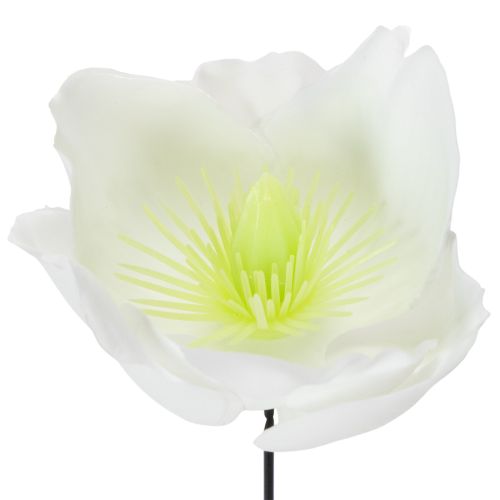 Prodotto Rosa di Natale su filo, bianca, 50 pezzi