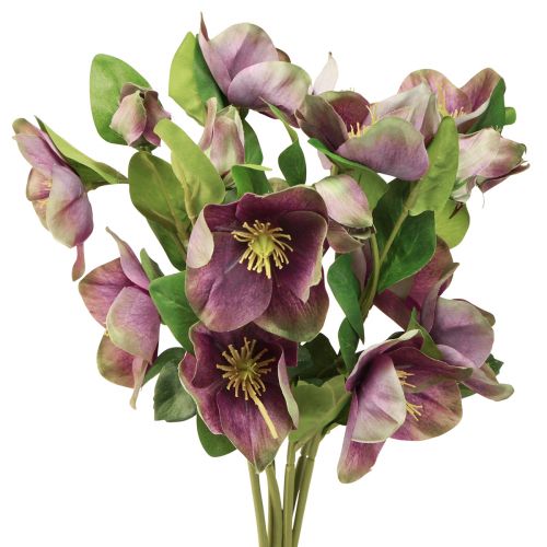 Floristik24 Rose di Natale Rose di neve artificiali Fiore viola L35cm 6 pz