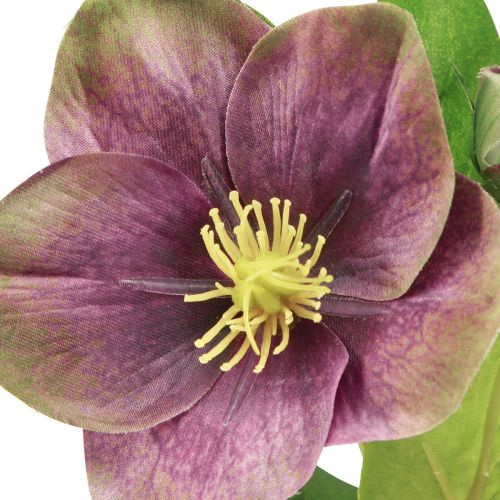 Prodotto Rose di Natale Rose di neve artificiali Fiore viola L35cm 6 pz