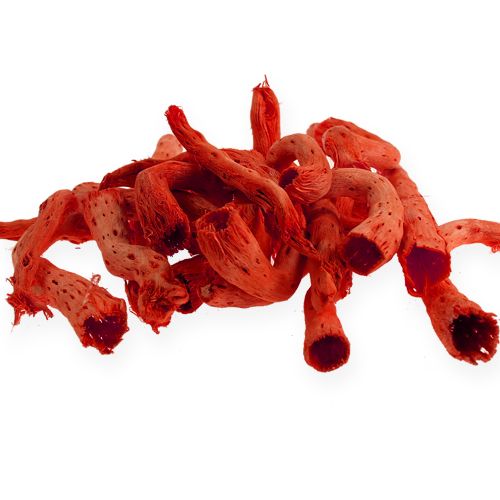 Cupy root in arancia 350g